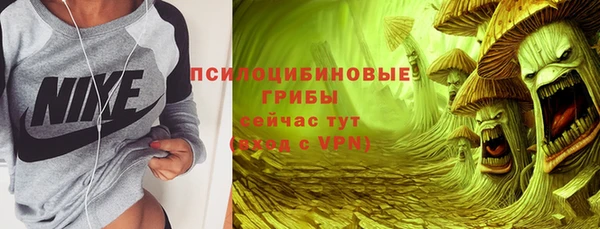а пвп мука Елабуга