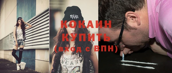 молекула духа Дмитриев