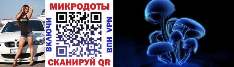 Галлюциногенные грибы Psilocybine cubensis  Ивантеевка 